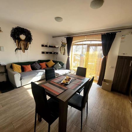 Dds Apartment Braşov Dış mekan fotoğraf