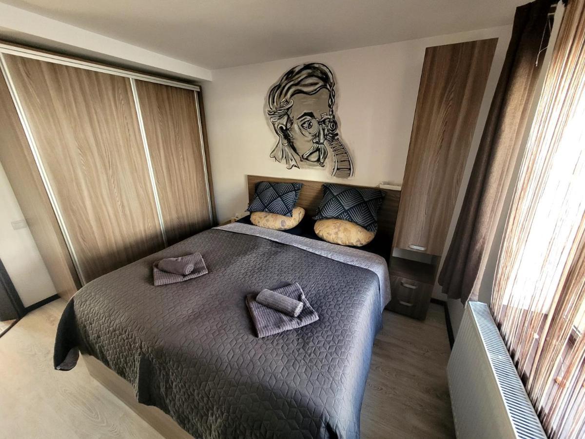 Dds Apartment Braşov Dış mekan fotoğraf