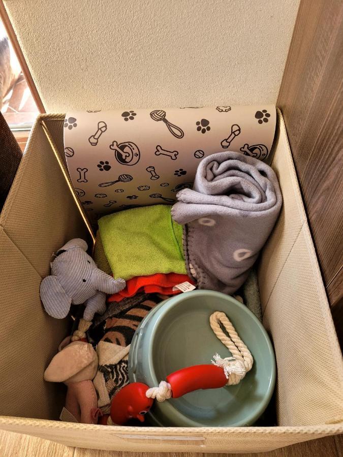 Dds Apartment Braşov Dış mekan fotoğraf